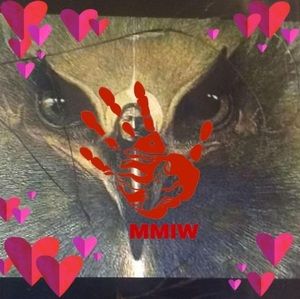 Meet your Posher, Elida